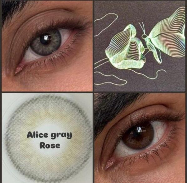 لنز Alice Gray برند Rose